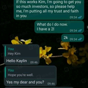 Seorang wanita di WhatsApp bernama Kim Trade dia menggunakan dompet luno untuk menipu banyak orang